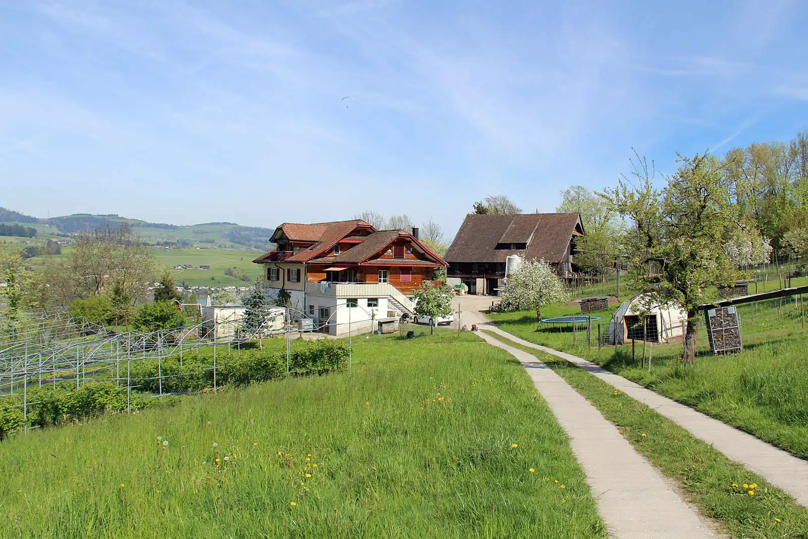 Ansicht_Zufahrt_Buehlhof-1