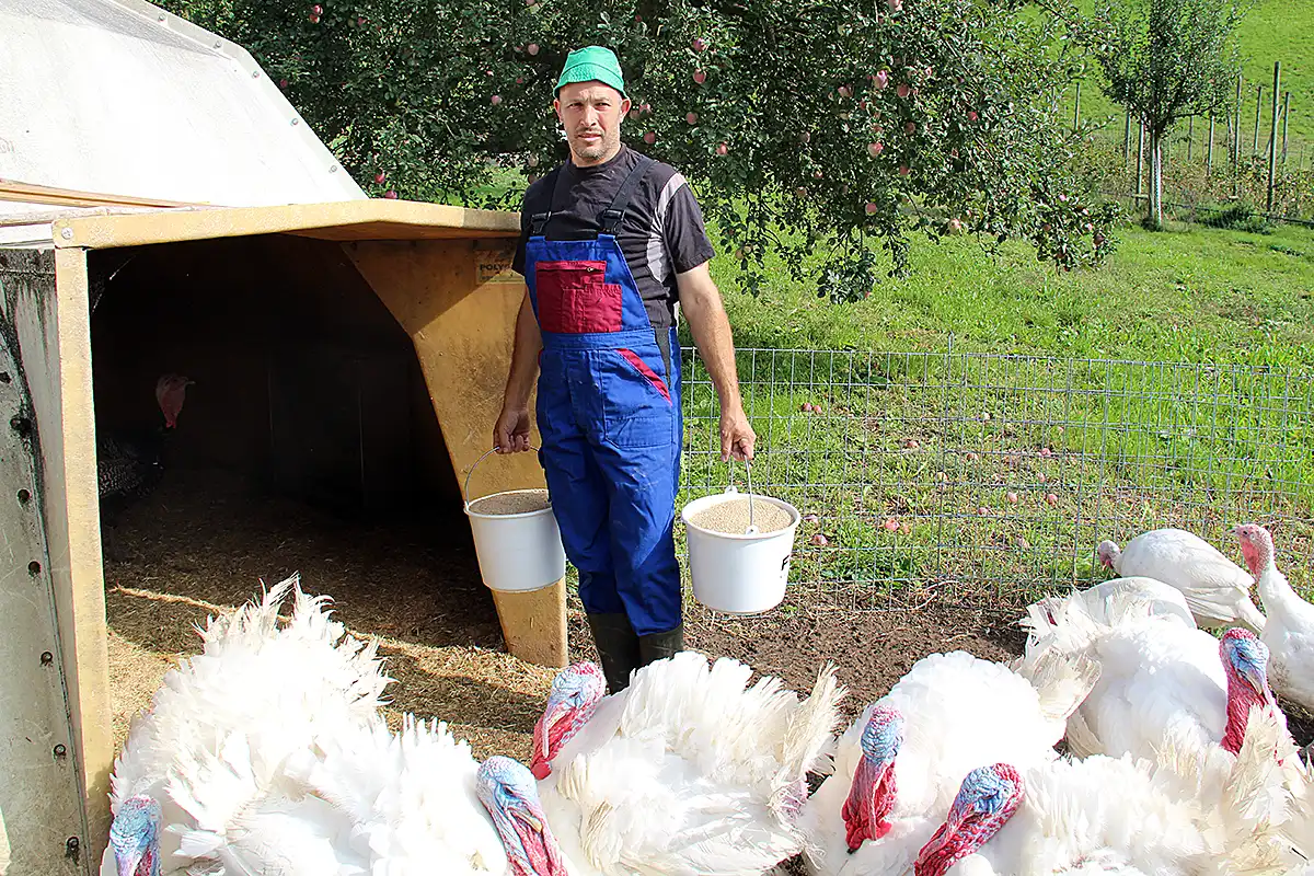 Christian-bringt-den-Truten-Futter-Buehlhof-Greppen7