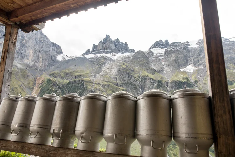 Milchkannen auf der Alp Milchkannen auf der Alp